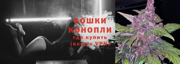 индика Вязьма