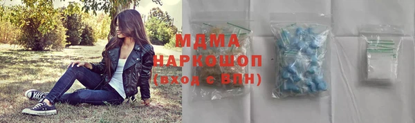 индика Вязьма