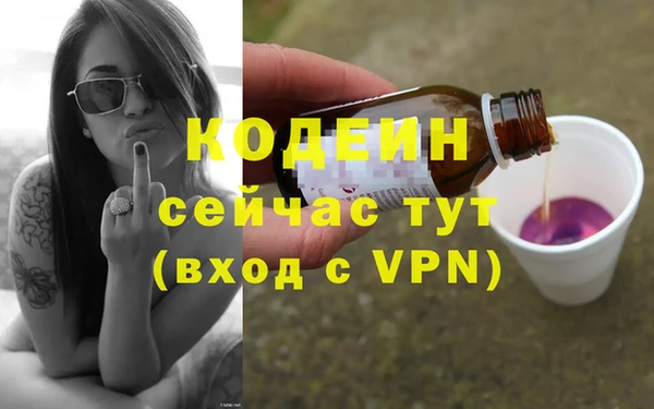 индика Вязьма
