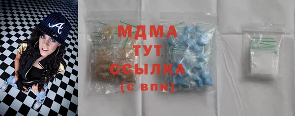 индика Вязьма