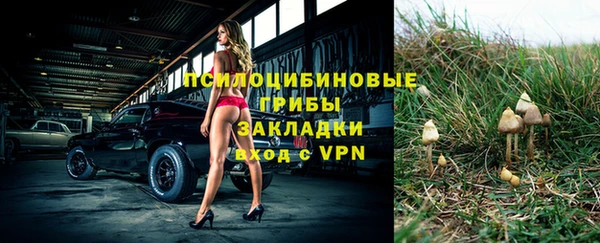 mdpv Вяземский