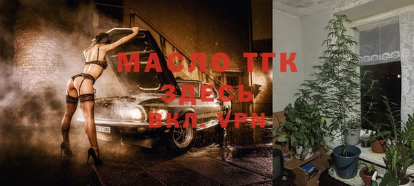 сатива Вязники