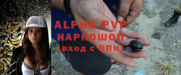 сатива Вязники