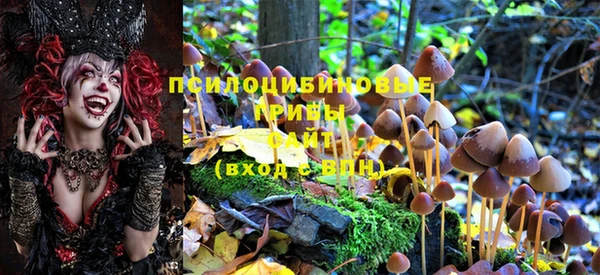 индика Вязьма