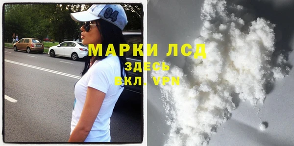 индика Вязьма