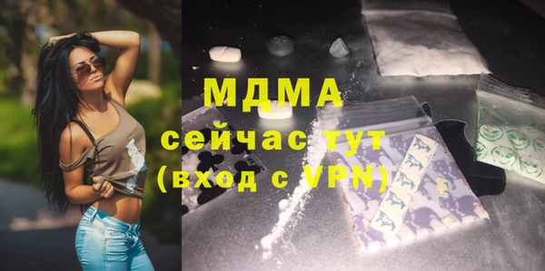 индика Вязьма