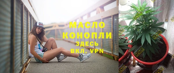 индика Вязьма