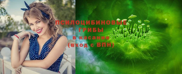 индика Вязьма