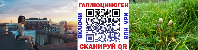 Галлюциногенные грибы Psilocybine cubensis  Купить закладки  Невель 